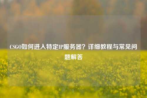 CSGO如何进入特定IP服务器?详细教程与常见问题解答