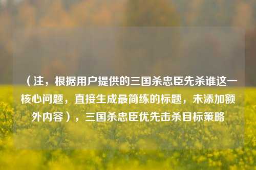 (注,根据用户提供的三国杀忠臣先杀谁这一核心问题,直接生成最简练的标题,未添加额外内容),三国杀忠臣优先击杀目标策略