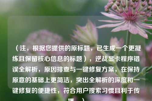 (注,根据您提供的原标题,已生成一个更凝练且保留核心信息的标题),逆战显卡程序错误全解析,原因排查与一键修复方案,在保持原意的基础上更简洁,突出全解析的深度和一键修复的便捷性,符合用户搜索习惯且利于传播。)