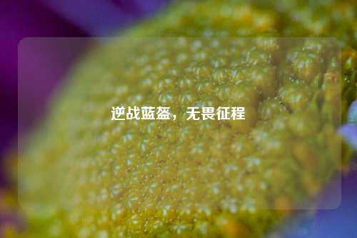 逆战蓝盔,无畏征程