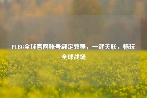 PUBG全球官网账号绑定教程,一键关联,畅玩全球战场