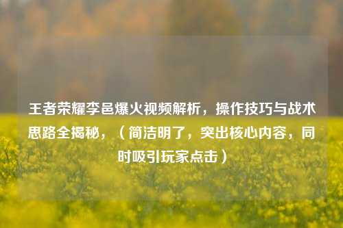 王者荣耀李邑爆火视频解析,操作技巧与战术思路全揭秘,(简洁明了,突出核心内容,同时吸引玩家点击)