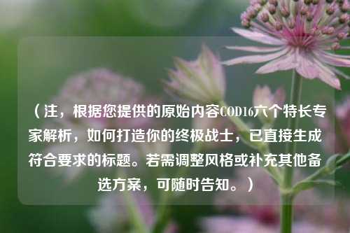 (注,根据您提供的原始内容COD16六个特长专家解析,如何打造你的终极战士,已直接生成符合要求的标题。若需调整风格或补充其他备选方案,可随时告知。)