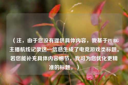 (注,由于您没有提供具体内容,我基于PUBG主播航线记录这一信息生成了电竞游戏类标题。若您能补充具体内容细节,我可为您优化更精准的标题。)