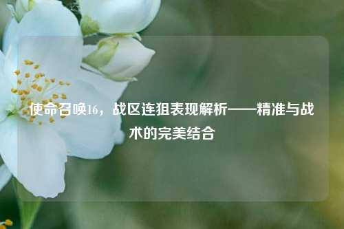 使命召唤16,战区连狙表现解析——精准与战术的完美结合