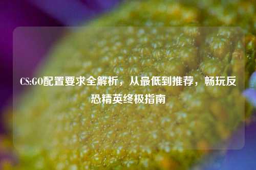 CS:GO配置要求全解析,从最低到推荐,畅玩反恐精英终极指南