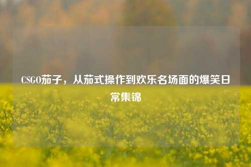 CSGO茄子,从茄式操作到欢乐名场面的爆笑日常集锦