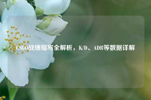 CSGO战绩缩写全解析,K/D、ADR等数据详解