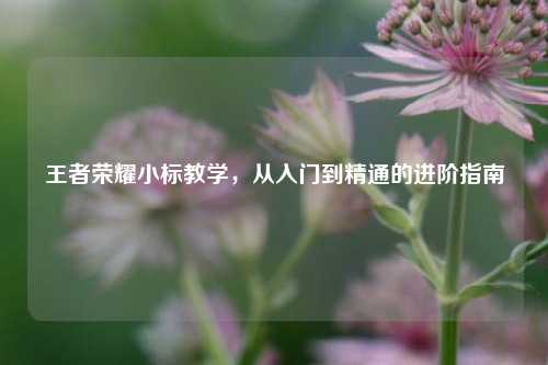 王者荣耀小标教学,从入门到精通的进阶指南