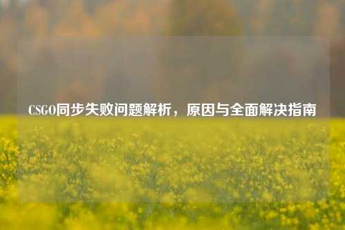 CSGO同步失败问题解析,原因与全面解决指南