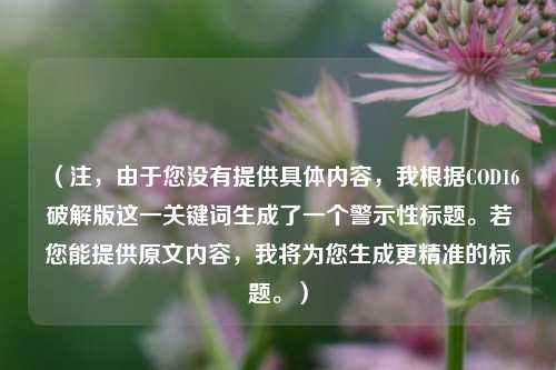 (注,由于您没有提供具体内容,我根据COD16破解版这一关键词生成了一个警示性标题。若您能提供原文内容,我将为您生成更精准的标题。)