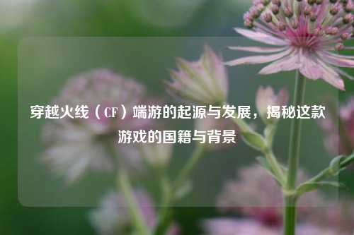 穿越火线(CF)端游的起源与发展,揭秘这款游戏的国籍与背景