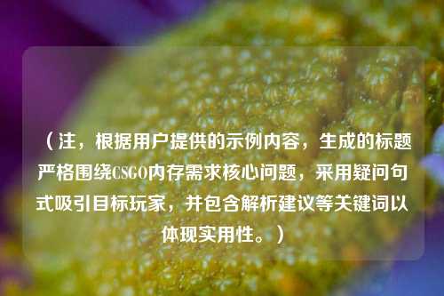 (注,根据用户提供的示例内容,生成的标题严格围绕CSGO内存需求核心问题,采用疑问句式吸引目标玩家,并包含解析建议等关键词以体现实用性。)