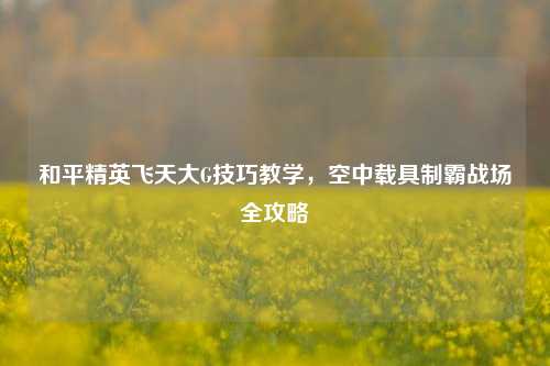 和平精英飞天大G技巧教学,空中载具制霸战场全攻略