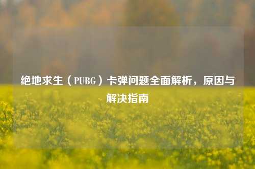 绝地求生(PUBG)卡弹问题全面解析,原因与解决指南