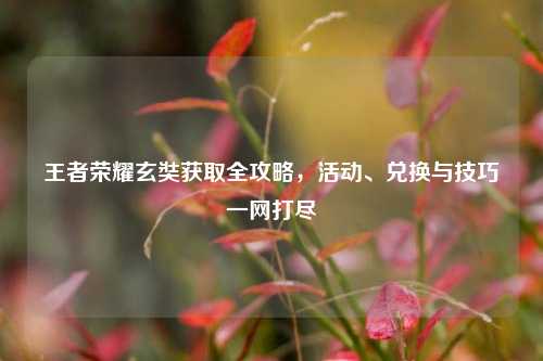 王者荣耀玄奘获取全攻略,活动、兑换与技巧一网打尽