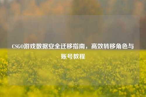 CSGO游戏数据安全迁移指南,高效转移角色与账号教程