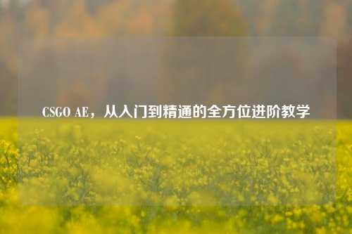 CSGO AE,从入门到精通的全方位进阶教学