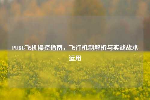 PUBG飞机操控指南,飞行机制解析与实战战术运用