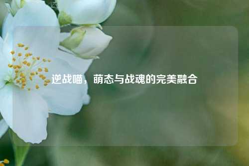 逆战喵,萌态与战魂的完美融合