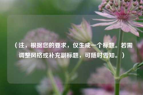 (注,根据您的要求,仅生成一个标题。若需调整风格或补充副标题,可随时告知。)