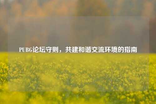 PUBG论坛守则,共建和谐交流环境的指南