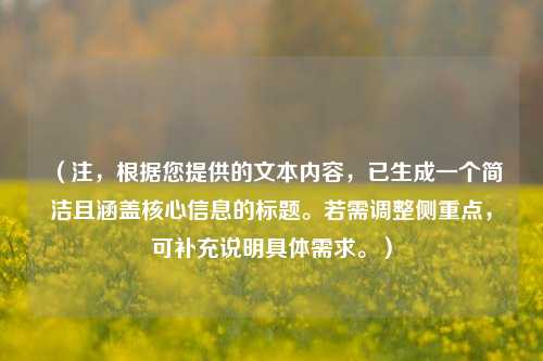 (注,根据您提供的文本内容,已生成一个简洁且涵盖核心信息的标题。若需调整侧重点,可补充说明具体需求。)