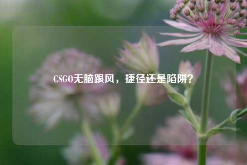 CSGO无脑跟风,捷径还是陷阱?