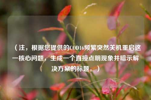 (注,根据您提供的COD16频繁突然关机重启这一核心问题,生成一个直接点明现象并暗示解决方案的标题。)