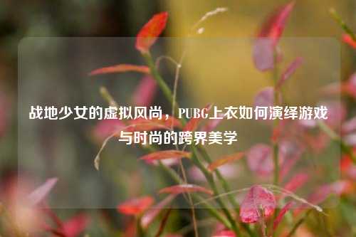 战地少女的虚拟风尚,PUBG上衣如何演绎游戏与时尚的跨界美学
