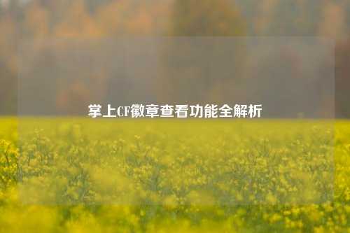 掌上CF徽章查看功能全解析