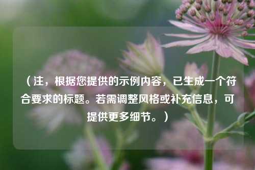 (注,根据您提供的示例内容,已生成一个符合要求的标题。若需调整风格或补充信息,可提供更多细节。)
