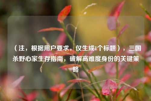 (注,根据用户要求,仅生成1个标题),三国杀野心家生存指南,破解高难度身份的关键策略