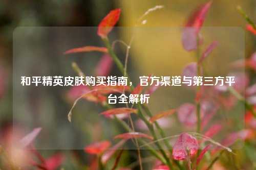和平精英皮肤购买指南,官方渠道与第三方平台全解析