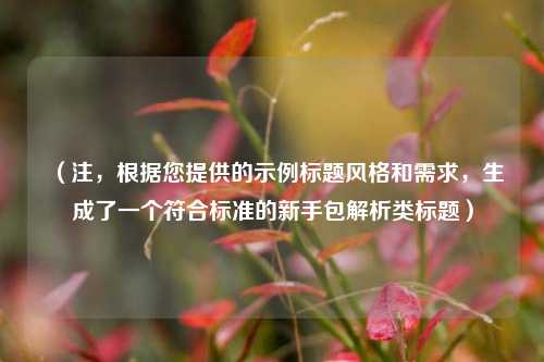(注,根据您提供的示例标题风格和需求,生成了一个符合标准的新手包解析类标题)