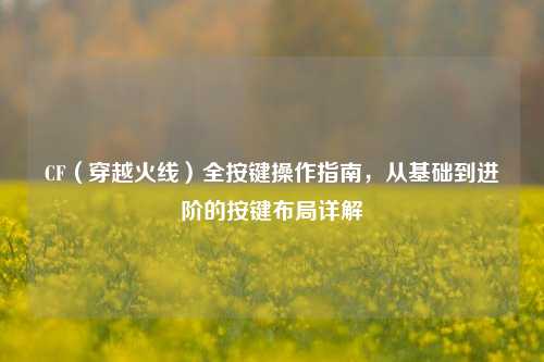 CF(穿越火线)全按键操作指南,从基础到进阶的按键布局详解