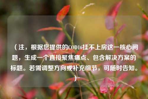(注,根据您提供的COD16挂不上房这一核心问题,生成一个直接聚焦痛点、包含解决方案的标题。若需调整方向或补充细节,可随时告知。)
