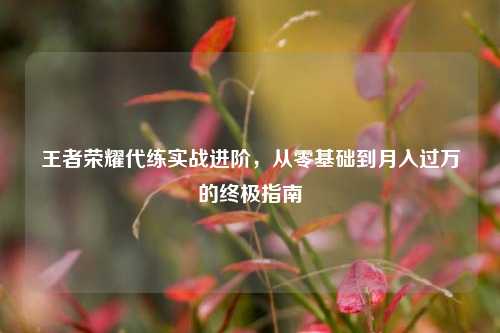 王者荣耀代练实战进阶,从零基础到月入过万的终极指南