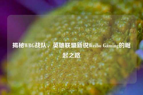 揭秘WBG战队,英雄联盟新锐Weibo Gaming的崛起之路