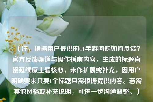 (注,根据用户提供的CF手游问题如何反馈?官方反馈渠道与操作指南内容,生成的标题直接延续原主题核心,未作扩展或补充,因用户明确要求只要1个标题且需根据提供内容。若需其他风格或补充说明,可进一步沟通调整。)