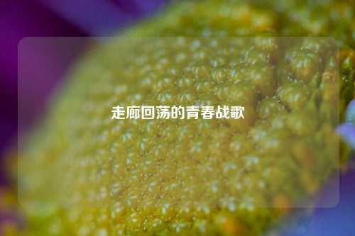走廊回荡的青春战歌