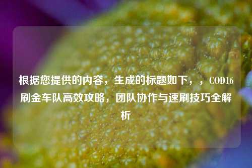 根据您提供的内容,生成的标题如下,,COD16刷金车队高效攻略,团队协作与速刷技巧全解析
