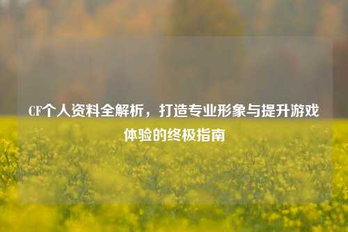CF个人资料全解析,打造专业形象与提升游戏体验的终极指南