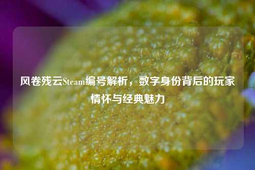 风卷残云Steam编号解析,数字身份背后的玩家情怀与经典魅力