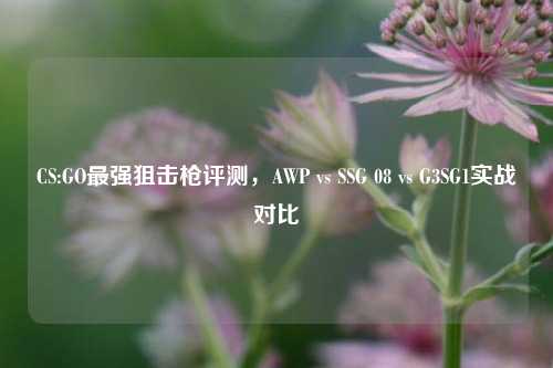 CS:GO最强狙击枪评测,AWP vs SSG 08 vs G3SG1实战对比