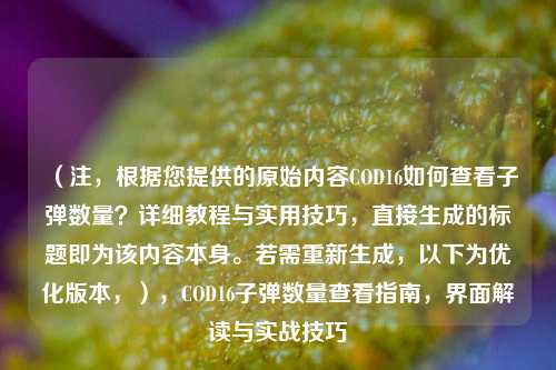 (注,根据您提供的原始内容COD16如何查看子弹数量?详细教程与实用技巧,直接生成的标题即为该内容本身。若需重新生成,以下为优化版本,),COD16子弹数量查看指南,界面解读与实战技巧