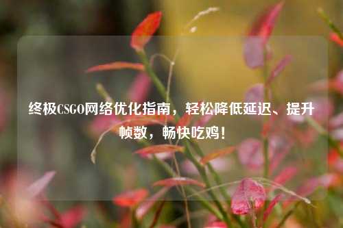 终极CSGO网络优化指南,轻松降低延迟、提升帧数,畅快吃鸡!