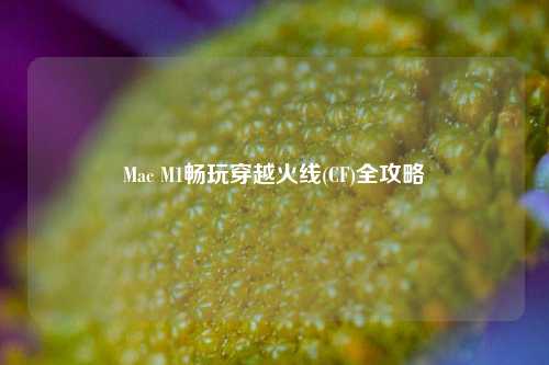 Mac M1畅玩穿越火线(CF)全攻略