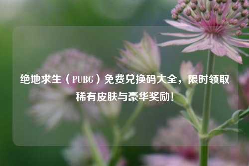 绝地求生(PUBG)免费兑换码大全,限时领取稀有皮肤与豪华奖励!