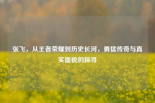 张飞,从王者荣耀到历史长河,勇猛传奇与真实面貌的探寻